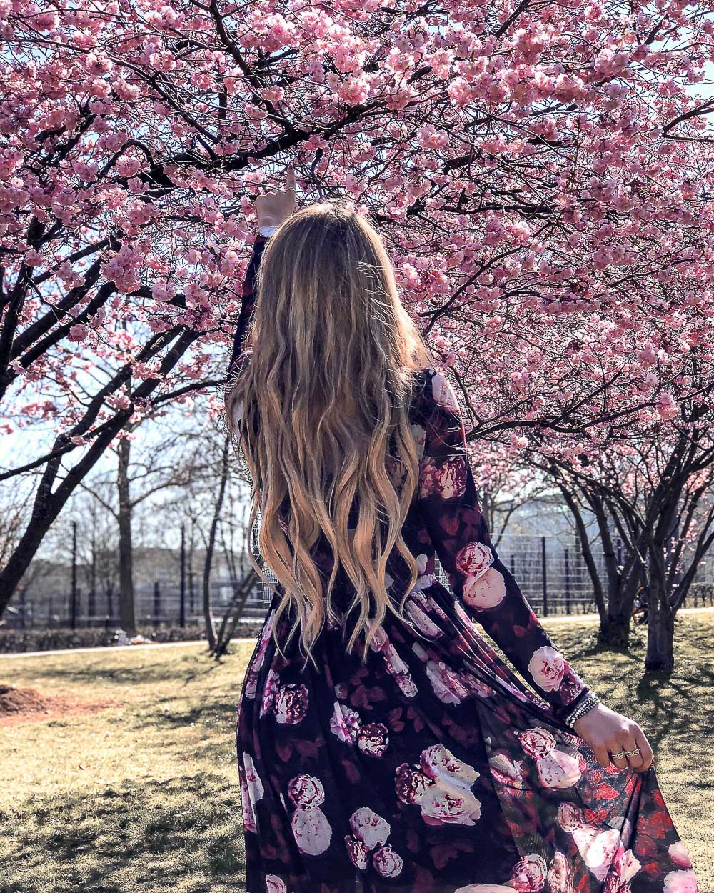 Kleid mit Rosenmuster-Kirschblütenbäume München